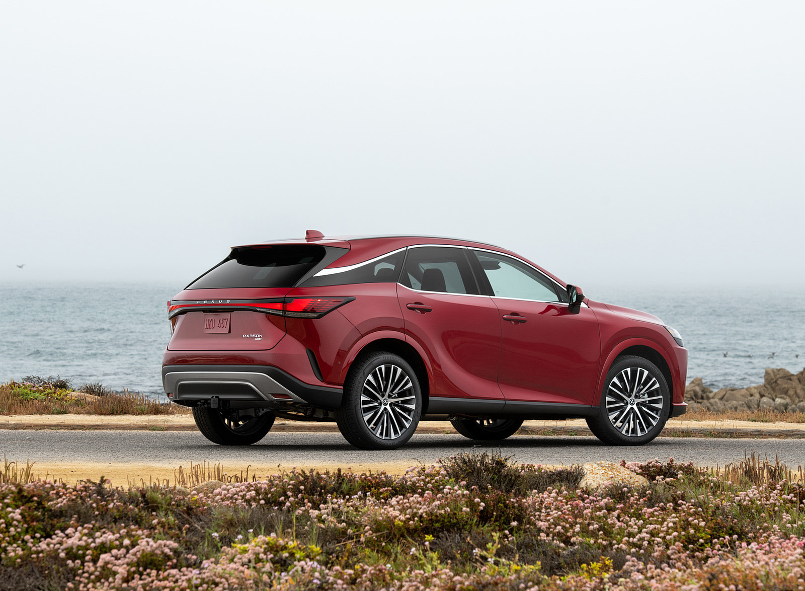 2023 Lexus RX 350h AWD (Color: Red Mica) Rear Three-Quarter Wallpapers #13 of 42