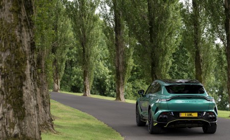 2023 Aston Martin DBX707 Q 2022 F1 Green Rear Wallpapers 450x275 (58)