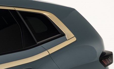 2023 BMW XM Detail Wallpapers  450x275 (103)