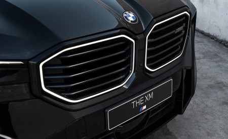 2023 BMW XM Grille Wallpapers 450x275 (132)