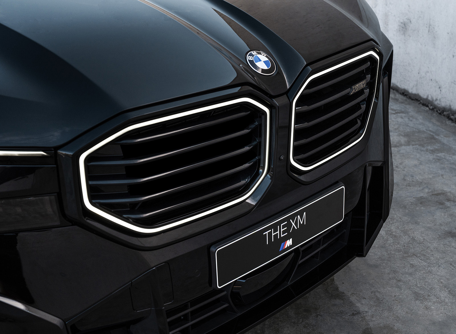 2023 BMW XM Grille Wallpapers #132 of 170