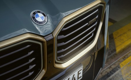2023 BMW XM Grille Wallpapers 450x275 (60)