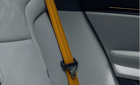 2024 Polestar 3 Interior Rear Seats Wallpapers 450x275 (50)