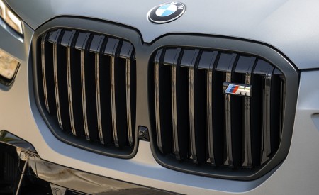 2023 BMW X7 M60i xDrive (Color: Frozen Grey; US-Spec) Grille Wallpapers 450x275 (67)