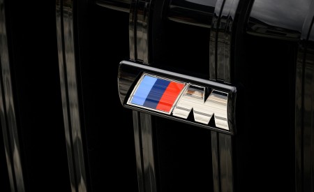 2023 BMW X7 M60i xDrive (Color: Frozen Marina Bay Blue; US-Spec) Grille Wallpapers 450x275 (238)