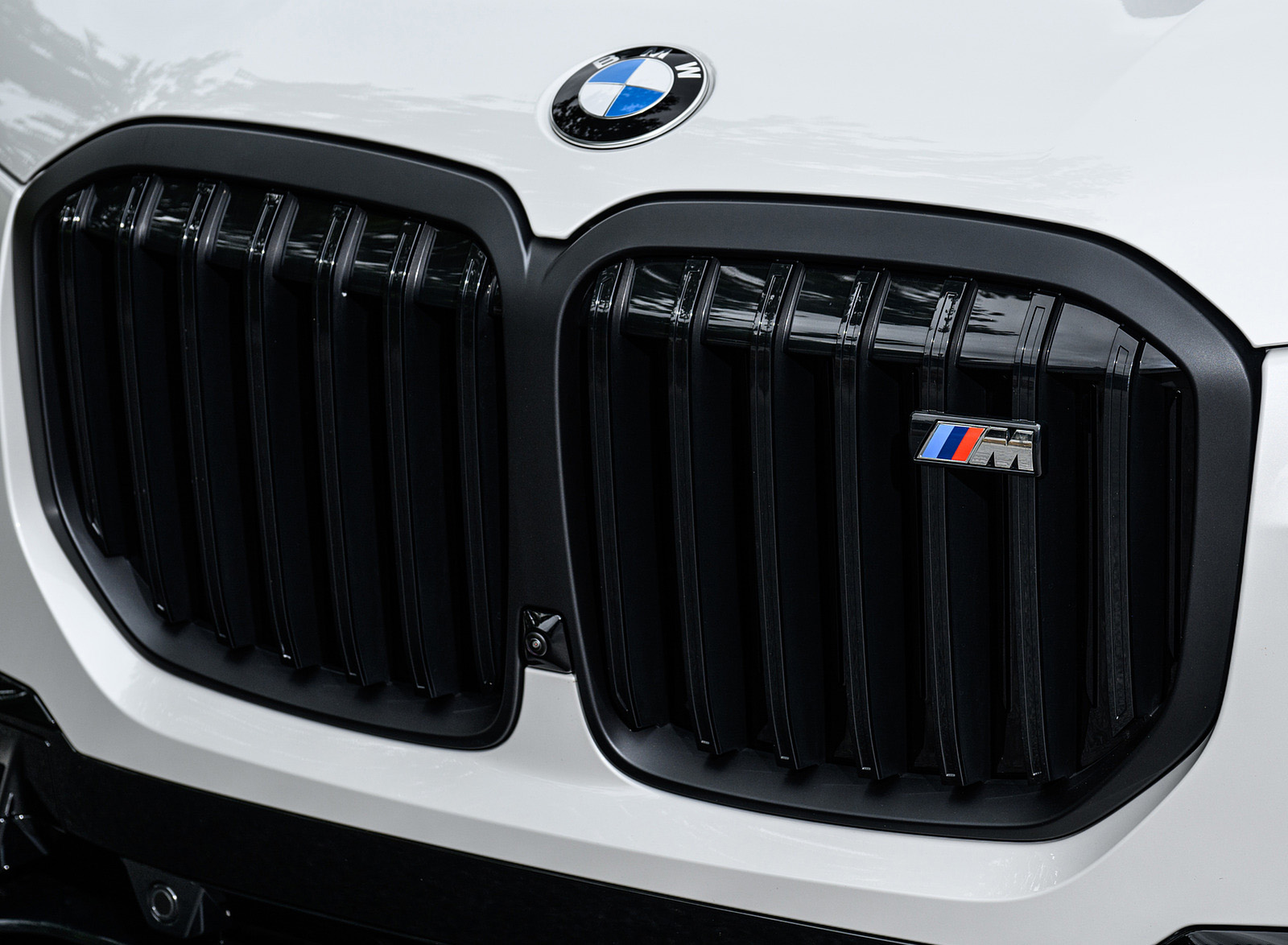 2023 BMW X7 M60i xDrive (Color: Mineral White; US-Spec) Grille Wallpapers #123 of 254