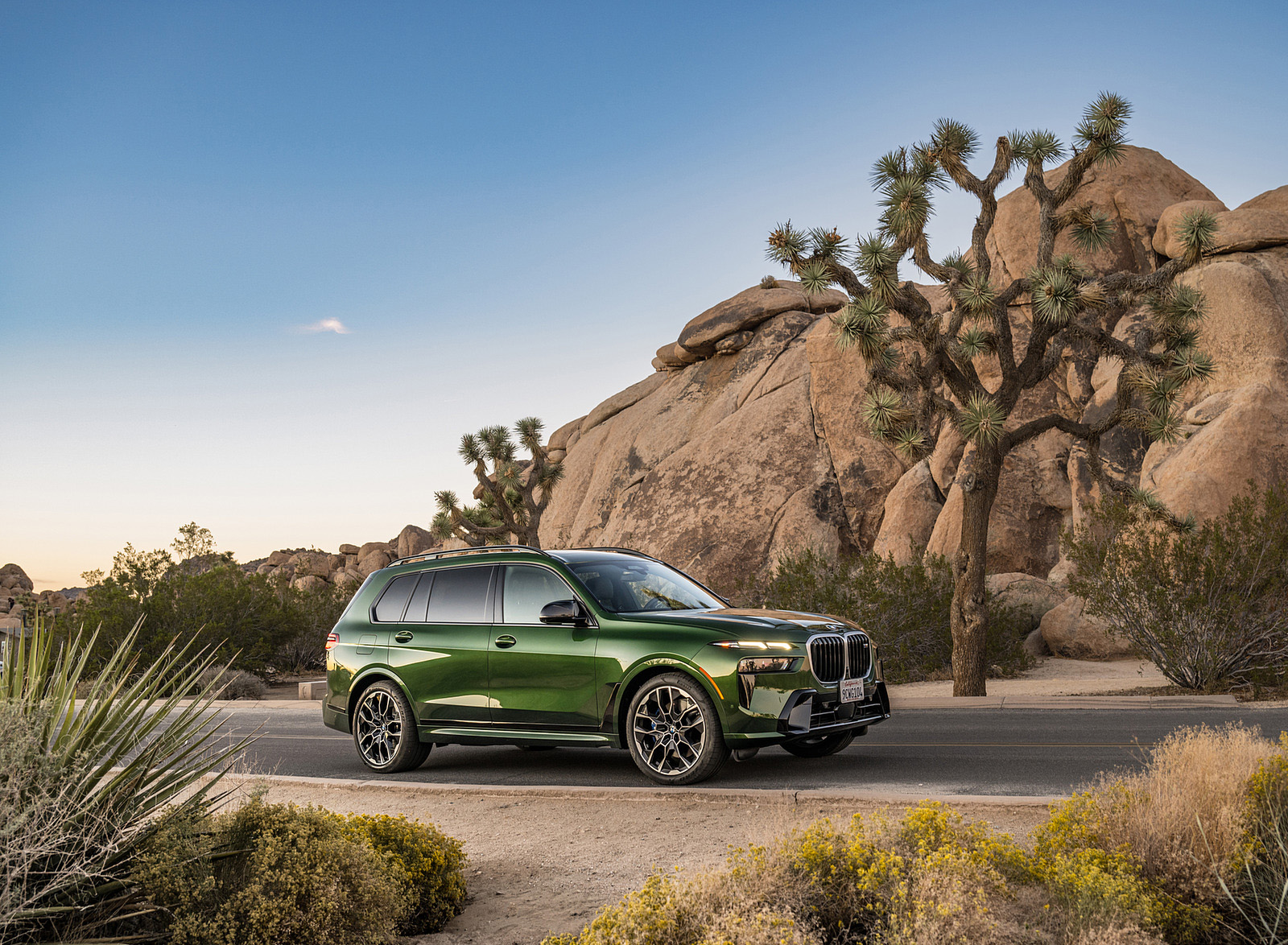 2023 BMW X7 M60i xDrive (Color: Verde Ermes; US-Spec) Front Three-Quarter Wallpapers #206 of 254