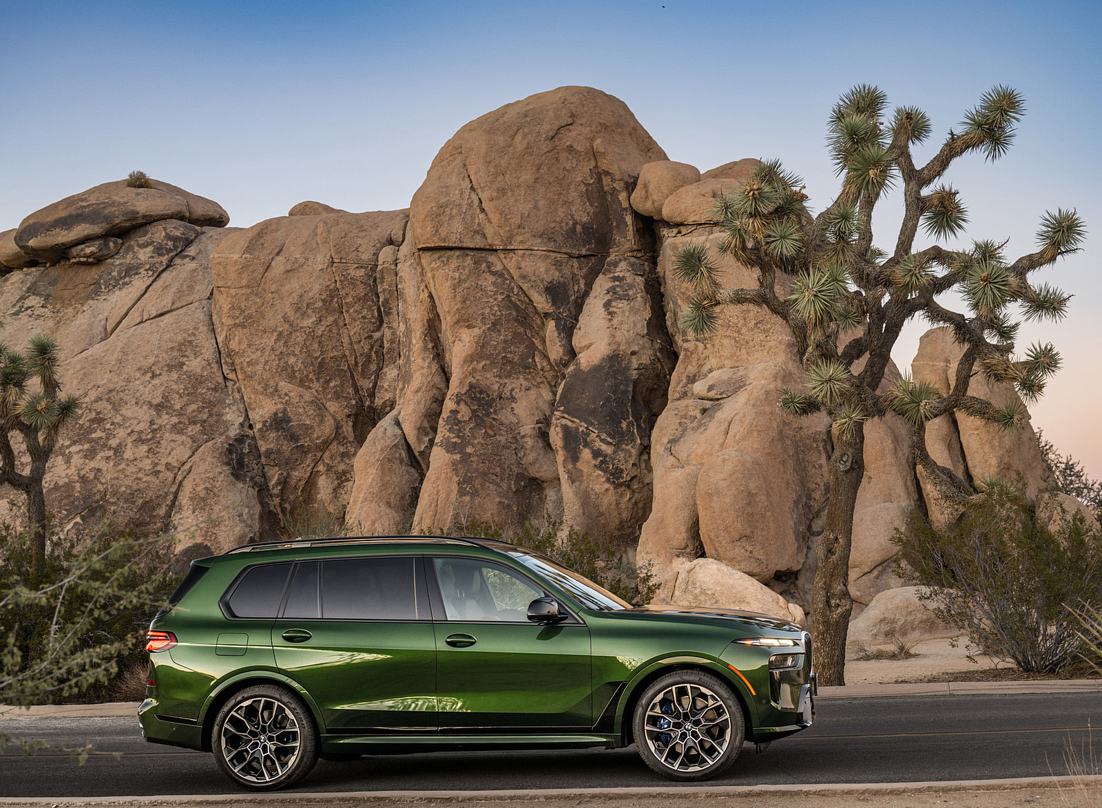 2023 BMW X7 M60i xDrive (Color: Verde Ermes; US-Spec) Side Wallpapers #210 of 254