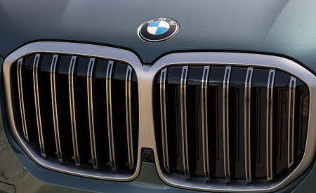 2023 BMW X7 xDrive 40i (Color: Blue Ridge Mountain; US-Spec) Grille Wallpapers 450x275 (57)