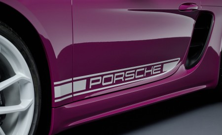 2023 Porsche 718 Boxster Style Edition Detail Wallpapers 450x275 (19)