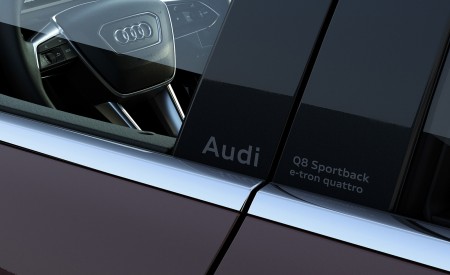 2024 Audi Q8 Sportback e-tron quattro (Color: Madeira Brown Metallic) Detail Wallpapers 450x275 (26)