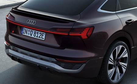 2024 Audi Q8 Sportback e-tron quattro (Color: Madeira Brown Metallic) Detail Wallpapers 450x275 (27)