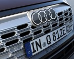 2024 Audi Q8 Sportback e-tron quattro (Color: Madeira Brown Metallic) Grille Wallpapers 150x120 (23)