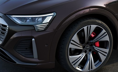 2024 Audi Q8 Sportback e-tron quattro (Color: Madeira Brown Metallic) Headlight Wallpapers 450x275 (22)