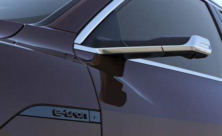 2024 Audi Q8 Sportback e-tron quattro (Color: Madeira Brown Metallic) Mirror Wallpapers 450x275 (25)