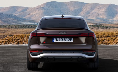 2024 Audi Q8 Sportback e-tron quattro (Color: Madeira Brown Metallic) Rear Wallpapers 450x275 (20)