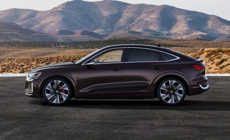 2024 Audi Q8 Sportback e-tron quattro (Color: Madeira Brown Metallic) Side Wallpapers 450x275 (21)