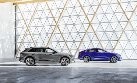 2024 Audi Q8 e-tron quattro (Color: Chronos Gray Metallic) Side Wallpapers 450x275 (34)