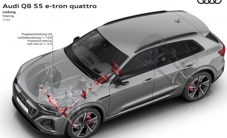 2024 Audi Q8 e-tron quattro Steering Wallpapers 450x275 (53)