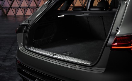 2024 Audi Q8 e-tron quattro Trunk Wallpapers 450x275 (50)