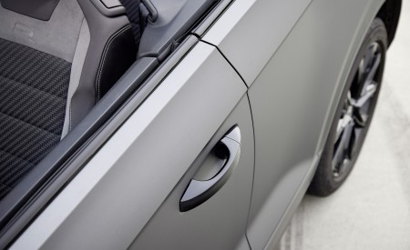 2023 Volkswagen T-Roc Cabriolet Edition Grey Detail Wallpapers 450x275 (22)
