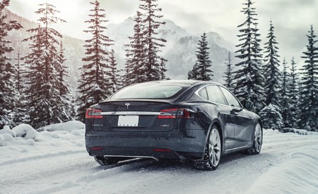 2015 Tesla Model S P85D Rear Three-Quarter Wallpapers 450x275 (5)