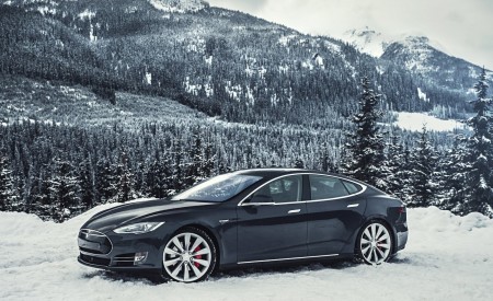 2015 Tesla Model S P85D Side Wallpapers 450x275 (8)