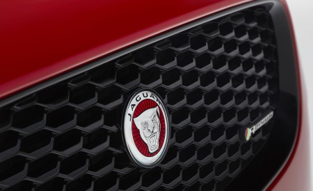 2018 Jaguar E-PACE R-Dynamic Grille Wallpapers 450x275 (25)
