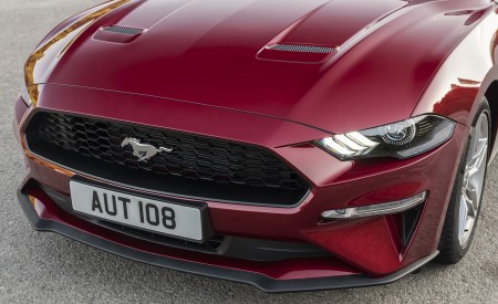 2018 Ford Mustang Cabrio (Euro-Spec) Grille Wallpapers 450x275 (16)