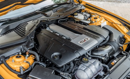 2018 Ford Mustang GT Coupe (Euro-Spec) Engine Wallpapers 450x275 (19)
