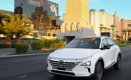 2019 Hyundai NEXO FCEV Front Three-Quarter Wallpapers 450x275 (32)