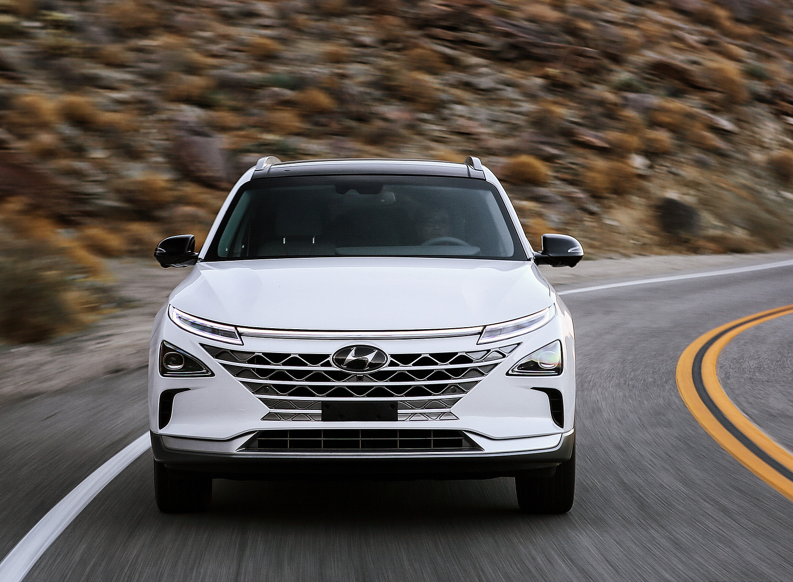 2019 Hyundai NEXO FCEV Front Wallpapers (11)