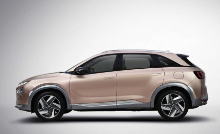 2019 Hyundai NEXO FCEV Side Wallpapers 450x275 (62)