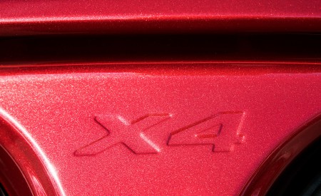 2019 BMW X4 M40d Detail Wallpapers 450x275 (176)