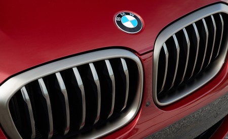 2019 BMW X4 M40d Grille Wallpapers 450x275 (77)