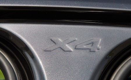 2019 BMW X4 xDrive30i Detail Wallpapers 450x275 (67)