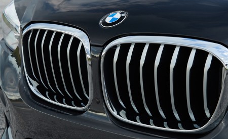 2019 BMW X4 xDrive30i Grille Wallpapers 450x275 (54)