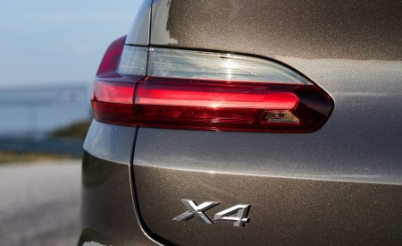 2019 BMW X4 xDrive30i Tail Light Wallpapers  450x275 (59)