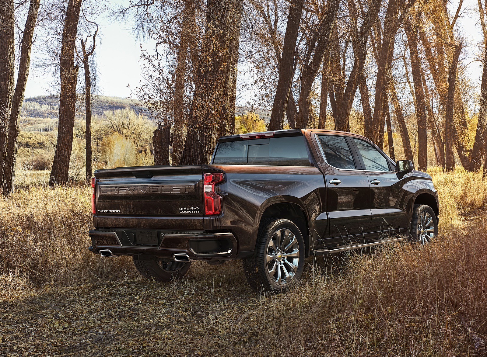 2019 Chevrolet Silverado Rear Three-Quarter Wallpapers (14)