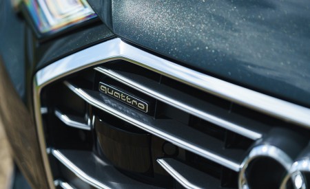 2019 Audi A6 Avant 50 TDI Quattro (UK-Spec) Grille Wallpapers 450x275 (31)