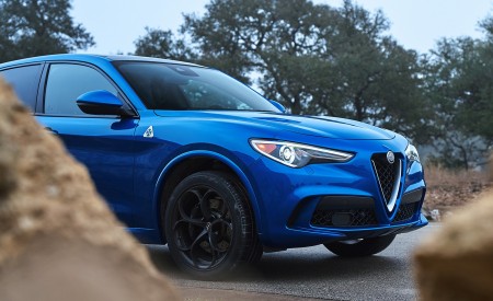 2018 Alfa Romeo Stelvio Quadrifoglio (Color: Misano Blue) Detail Wallpapers 450x275 (37)