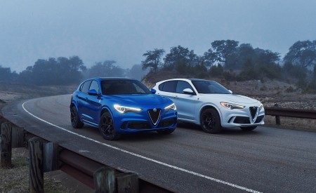 2018 Alfa Romeo Stelvio Quadrifoglio Front Three-Quarter Wallpapers 450x275 (42)