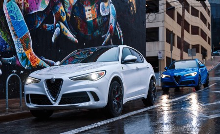 2018 Alfa Romeo Stelvio Quadrifoglio Front Three-Quarter Wallpapers 450x275 (15)
