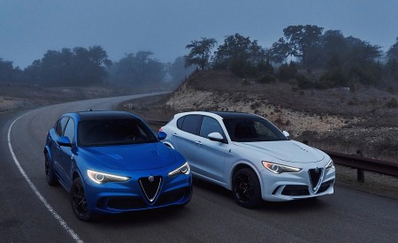 2018 Alfa Romeo Stelvio Quadrifoglio Front Wallpapers 450x275 (26)