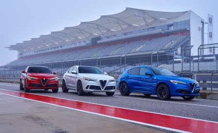 2018 Alfa Romeo Stelvio Quadrifoglio Wallpapers 450x275 (11)