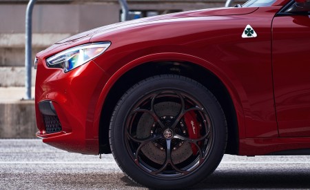 2018 Alfa Romeo Stelvio Quadrifoglio Wheel Wallpapers 450x275 (70)