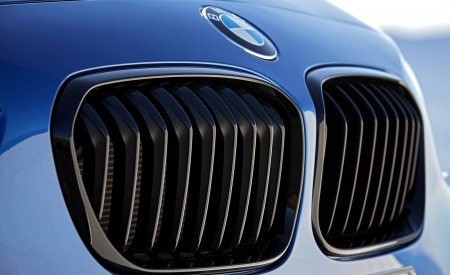 2018 BMW M140i xDrive Grill Wallpapers 450x275 (22)
