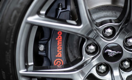 2018 Ford Mustang GT Performance Pack 2 Brakes Wallpapers 450x275 (30)