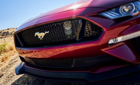 2018 Ford Mustang GT Performance Pack Level 2 Grill Wallpapers 450x275 (11)
