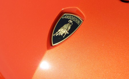 2018 Lamborghini Aventador S Roadster Badge Wallpapers 450x275 (40)